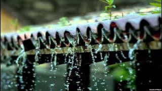 Sound of Raindrops on Rooftop - Thunderstorm Recording (w/bird chatter in background)