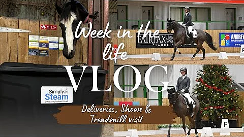 An exciting delivery, water treadmill and dressage - week in the life 