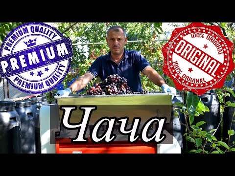 Video: Cocinar chacha de uvas en casa