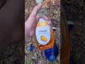 how to catch worms for fishing with dish soap