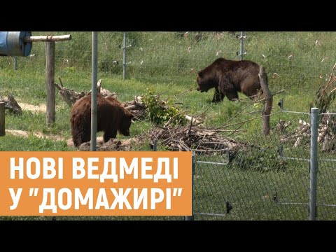 Привезли з приватного
