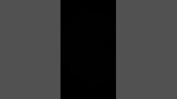 Turi IP IP ft. Doginturiip (Official Video)