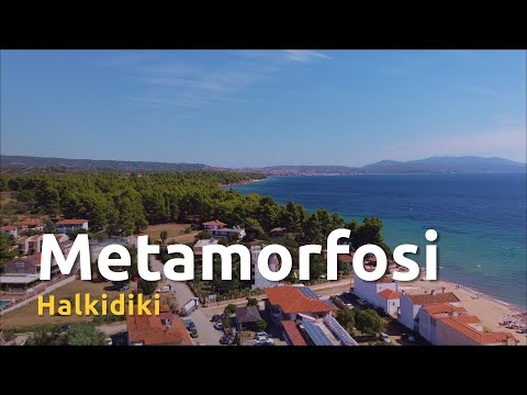 Metamorfosi: a serene destination between forests and waves