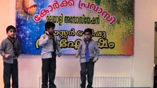 Cork Pravasi Easter Vishu 2012