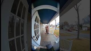 Squirrel attacks elderly woman #ai #aivideo #aiart #cute