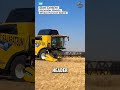 Giant Combine Harvester Boosts Wheat Harvest Speed #CombineHarvester #WheatHarvest #FarmingTech