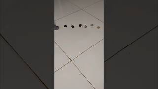 HETCH V3 Pro Vacuum Cleaner &amp; Mop Penyedot Debu &amp; Pel Vakum Kabel pel Air Membersihkan lantai