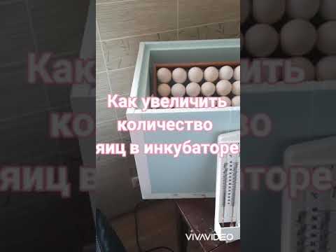 Матрица дели 72 Матрица дели 72