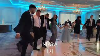 Non Stop Dabke New Jersey Arab Wedding Maya Dj
