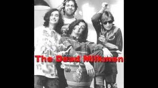 Video thumbnail of "Dead Milkmen - If you love someone, set them on fire"