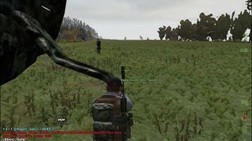 DayZ Teamkill