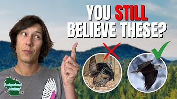 5 Lies You Still Believe About Birds!
