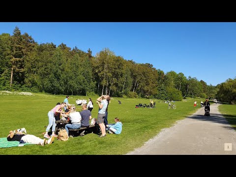 Video: Uitstappies in Swede