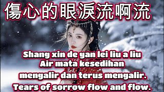 傷心的眼淚流啊流🎵演唱🎵李英🎵cover🎵Shang xin de yan lei liu a liu