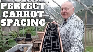 Perfectly Spaced Carrot Sowing [Gardening Allotment UK] [Grow Vegetables At Home ]