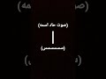 صوت حاد اسمه سسسسس
