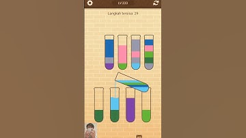 New Water Sort Puzzle Level 333