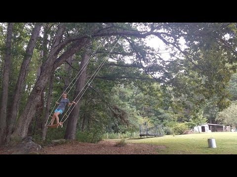 PTC Tree Swings Installations 