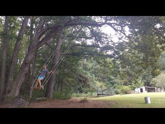 How To Hang A Swing From A Tree 