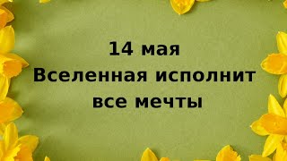 14 мая - Вселенная исполнит все мечты.