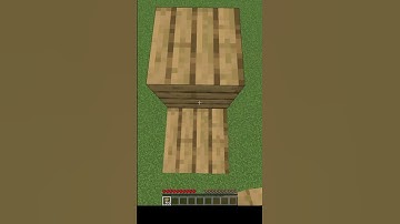 Minecraft Java vrs Bedrock | SpeedBridging