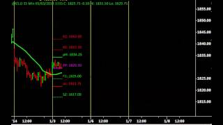 Floor Pivots Simulation in TradeStation