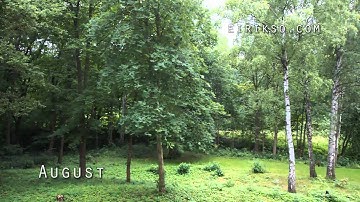 A true timelapse of 2010