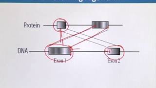 Topic 128 (BIF732 - Advanced Computing Approaches)