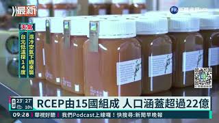 紐澳批准 全球最大經貿協定RCEP誕生｜華視新聞 20211104