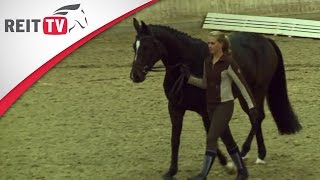 Junge Pferde Ausbilden - Klaus Balkenhol In Leverkusen Teil 1A Die Alten Meister