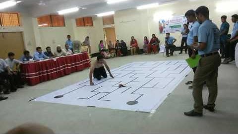 Maze Solving Robot Video