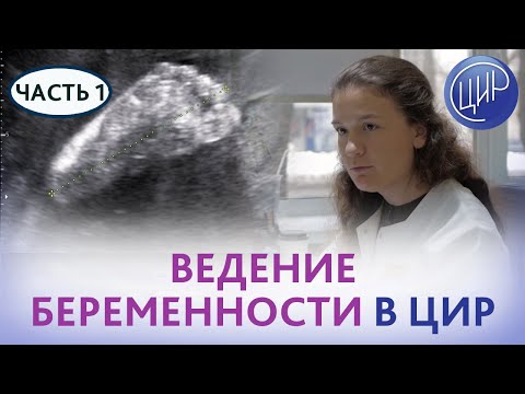 Заключение контракта на ВЕДЕНИЕ БЕРЕМЕННОСТИ. Ведение беременности в ЦИР. Часть 1.