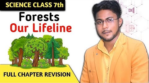 Forests Our Lifeline Full Chapter Class 7 Science | REVISION Of Science Class 7 Chapter 17