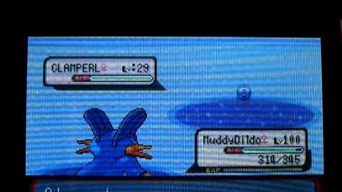 Shiny Clamperl after 2,016 RE