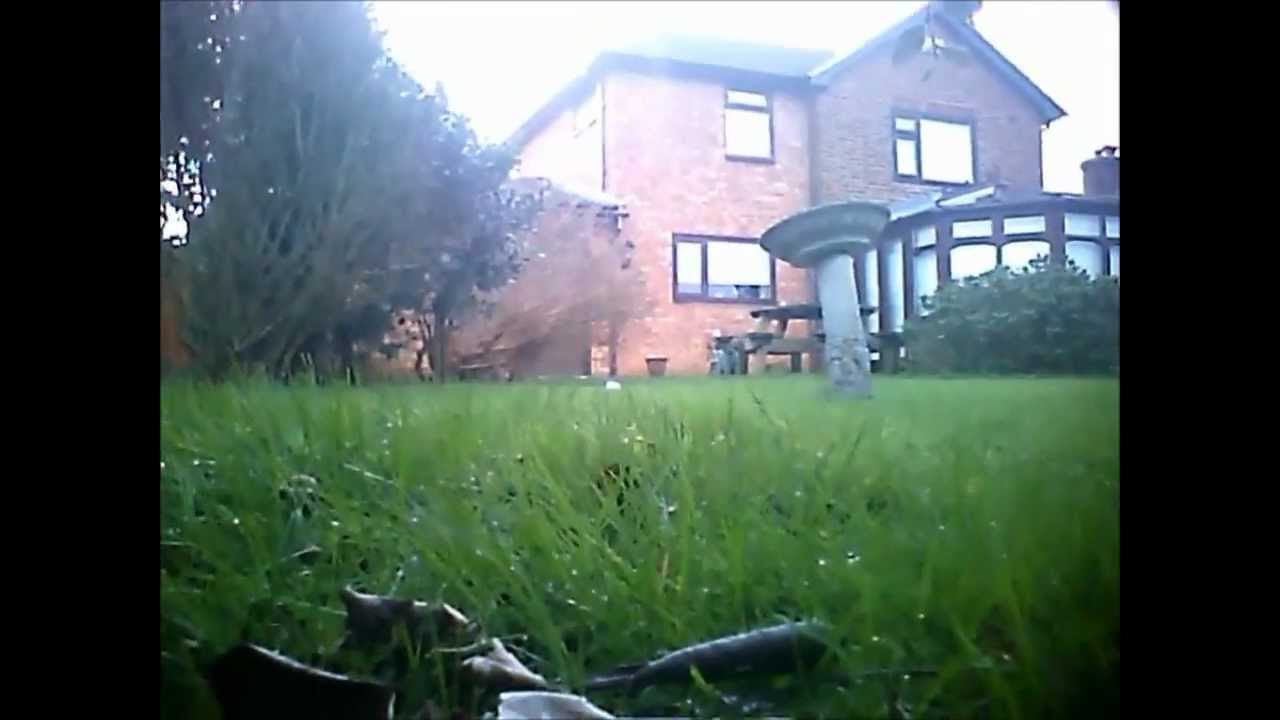  Cats  eye  view with Eyenimal pet cam Capel Le Ferne YouTube