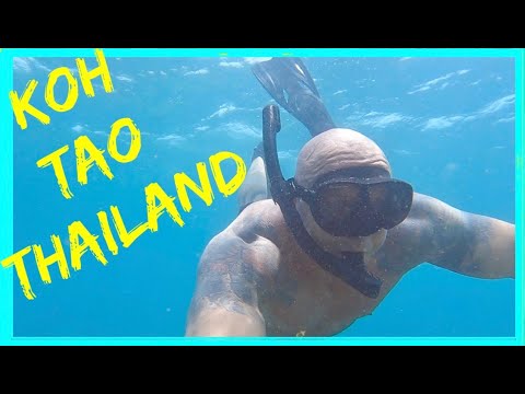 KOH TAO | SAI DAENG RESORT