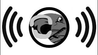 24-Audio 0001 [2020-09-14 224846].wav