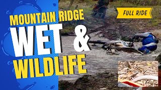 Mountain Ridge ATV Park | amazing single track trails