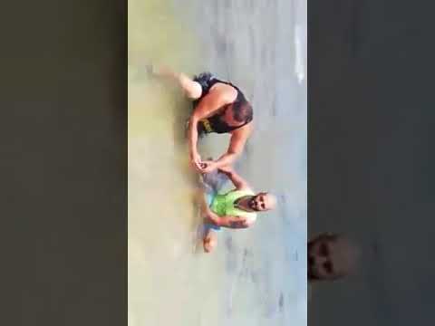 فضيحة قتل دلفين بحر عدلون غنى النحفاوي طالعتنا مواقع التواصل الإجتماعي 1