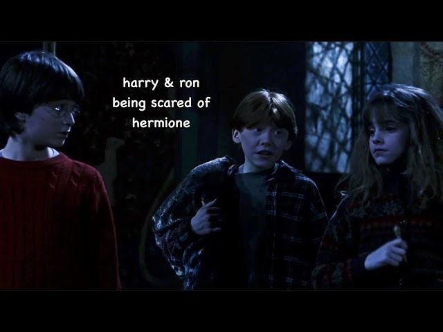 harry u0026 ron being scared of hermione class=