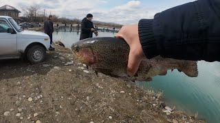 Рыбалка Осетия. Рыбалка в Чегеме.