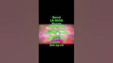 You NEED this Meta ISO Hemlock build!! #cod #Meta #callofduty #warzone2 #mw2￼