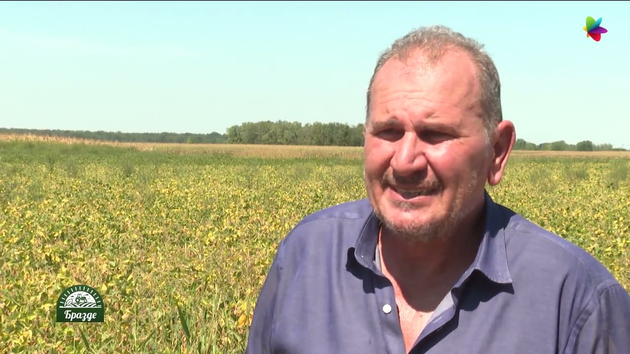 Brazde | 24.08.2025.