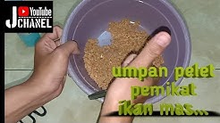 Cara membuat umpan pelet pemikat ikan mas - Durasi: 4.04. 
