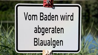 Sind Cyanobakterien gefährlich?