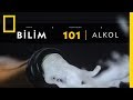 Bilim 101  alkol