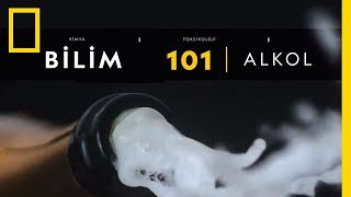 Bilim 101 | Alkol