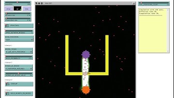 NetLogo Bridge-Ants-Modell - Demo