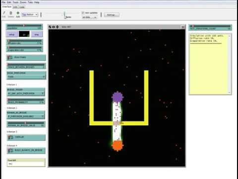 NetLogo Bridge-Ants-Modell - Demo