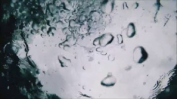 Hammock -  Sinking Inside Yourself - (Lyrics)